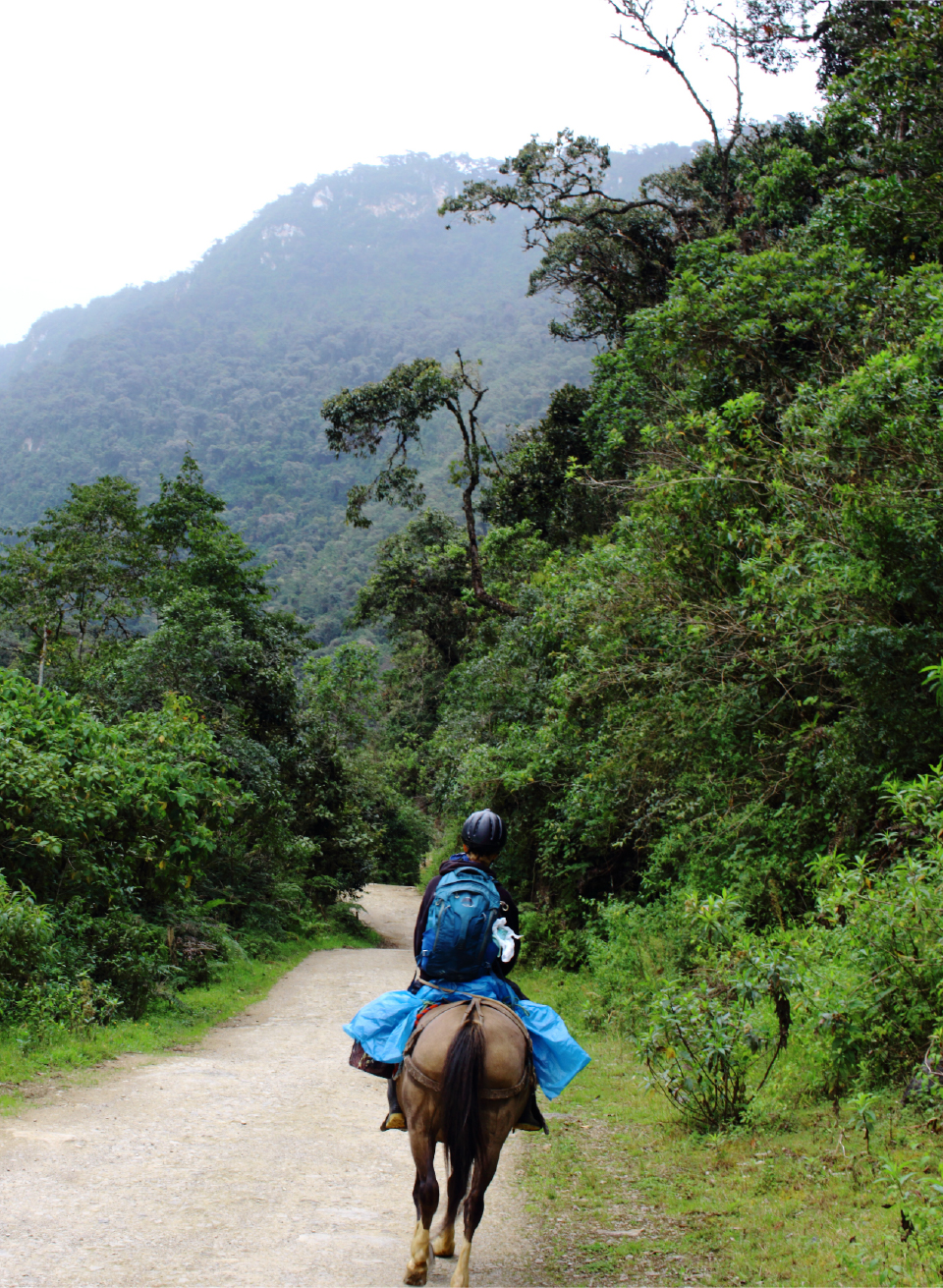 TREKKING LEYMEBAMBA E.I.R.L. con RUC: 20603072163, es una agencia especializada en tours en la Comunidad de Leymebamba, como la Ruta de los valientes a la Laguna de los Cóndores, sitio arqueológico de la Petaca, Museo Leymebamba entre otros, fundada en 2018. Con más de 8 años de experiencia, somos expertos en conectar turistas con el Mundo Chachapoyas. Nuestro enfoque combina aventura, preservación del patrimonio y beneficio comunitario, siendo guardianes del legado de los “hombres de las nubes”.