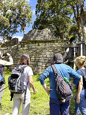 Nuevos Caminos Travel