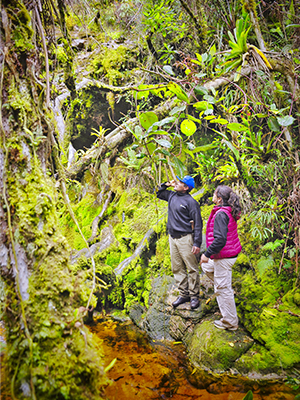 VALLE HERMOSO DE LEYMEBAMBA, 0B
