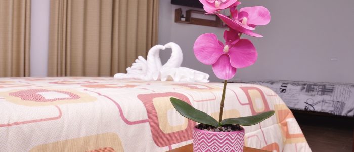 Victoria Regioa Hotel en Leymebamba